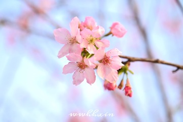 09B622D0-076C-4A93-9138-B80AC7FADB88/L0/001