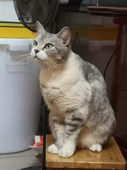 13112