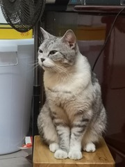 13107