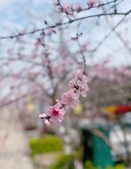 32670B70-B134-4BC0-8C75-081EE79D53F5/L0/001
