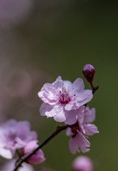 E5569588-BA29-45BB-B803-D3322FDD488A/L0/001