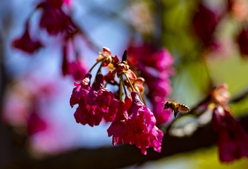 A44E1BE6-01FD-43BE-8EE3-9272B3F477BF/L0/001
