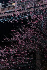 E983705C-6297-49FD-87BF-24A1D3A6821F/L0/001