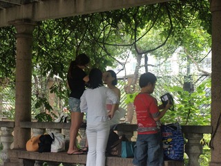大宁公园- (2).JPG