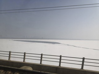 1000022602