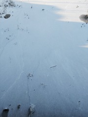 1000022643
