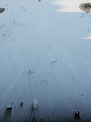 1000022644