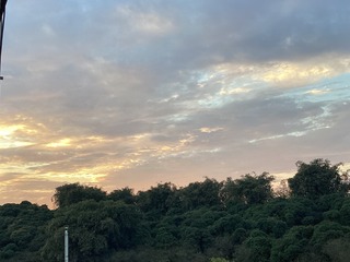 D4561216-ABDE-48AF-B090-D908FF76ABD2/L0/001