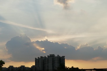 1000008139