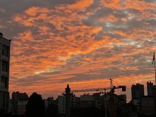 D081E35B-ED8B-47EA-A036-638CB3E0FFAA/L0/001