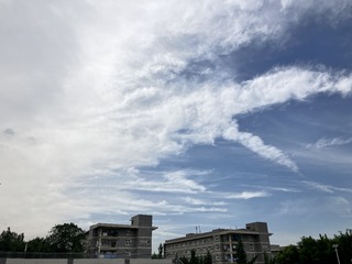 F4B85000-1E4D-4B53-9C57-E007137421E7/L0/001