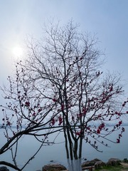 93B57DBD-1F0A-4B93-881C-BCACC82791D7/L0/001