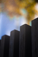 1000056077