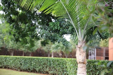 IMG_5043_副本.jpg