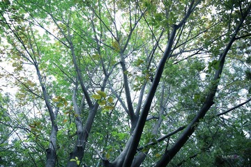 IMG_7598_副本.jpg