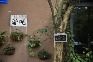 IMG_7627_副本.jpg