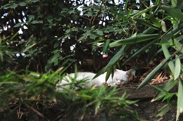 IMG_7579_副本.jpg