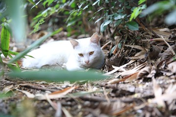 IMG_7589_副本.jpg