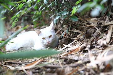 IMG_7592_副本.jpg