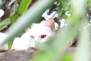IMG_7593_副本.jpg