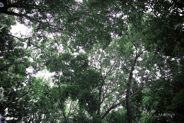 IMG_7699_副本.jpg