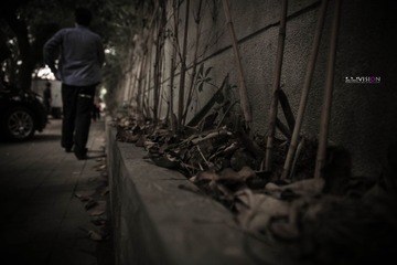 IMG_7700_副本.jpg