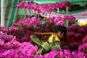 IMG_7741_副本.jpg