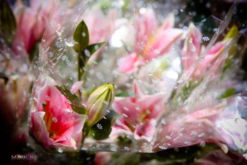 IMG_7722_副本.jpg