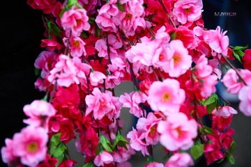 IMG_7729_副本.jpg