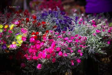 IMG_7845_副本.jpg