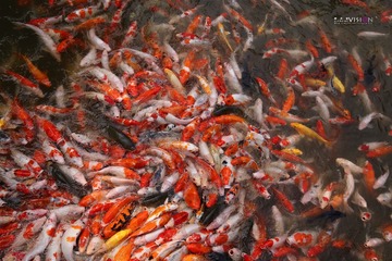 IMG_8800_副本.jpg