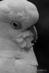 IMG_8596_副本.jpg