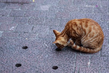 IMG_8848.jpg