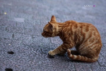 IMG_8849.jpg