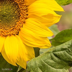 IMG_8417_副本.jpg