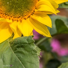 IMG_8420_副本.jpg