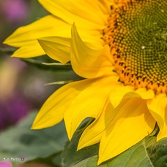 IMG_8421_副本.jpg