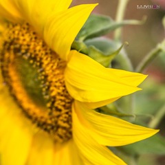 IMG_8426_副本.jpg
