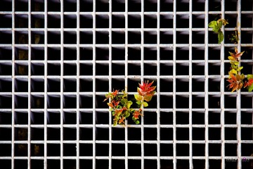 IMG_1019_副本.jpg