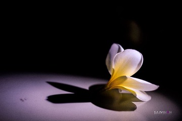 _IGP7250.jpg