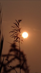 B8625BDC-C884-407A-94C2-6F9ACCDE7517/L0/001