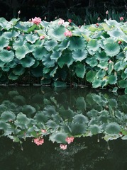 8C600D9A-A21C-40D2-B06E-F1E252054832/L0/001
