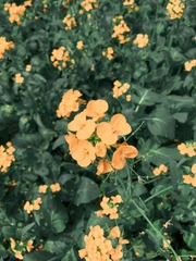 488F2B02-B04B-46EE-9A9A-D0FD4AF0CA6C/L0/001