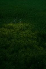 1000357359