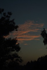 1000181455