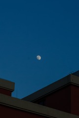 1000169453