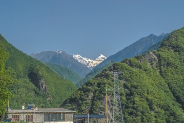1000379645