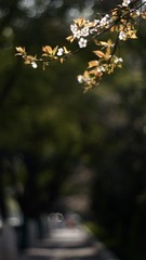 3BD0A40E-8452-417C-A34D-AB311DE837DD/L0/001