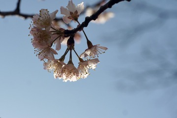 879C44B6-89BA-41CD-B1DA-86947EA05D2E/L0/001