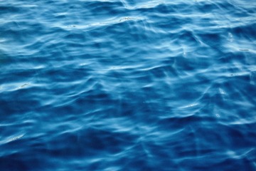 DB30D61A-F085-437E-8BB5-EA2542F0DD6D/L0/001
